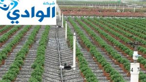 شركة تمديد شبكات الرى بالقصيم