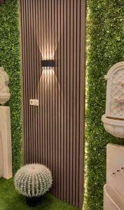 عشب للجدار ببريدة