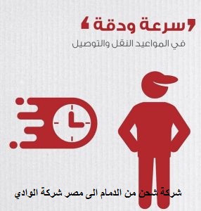 شركة شحن من الدمام الى مصر